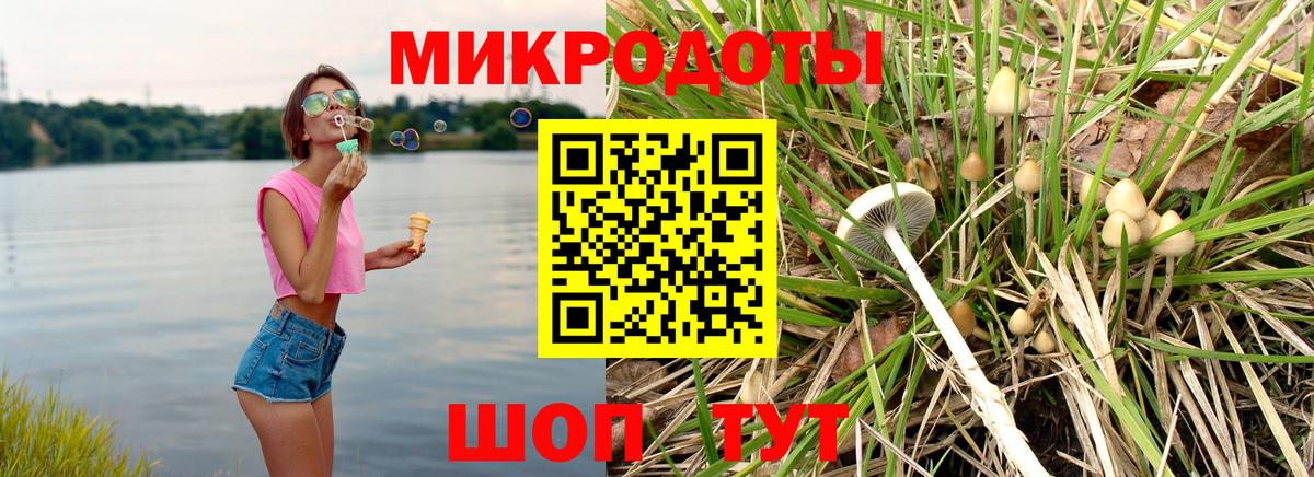 Балахна  Галлюциногенные грибы Psilocybine cubensis  Вход с VPN 